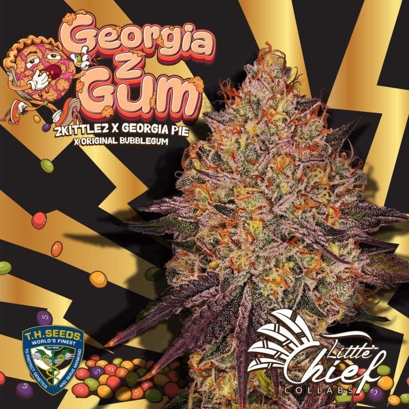 Georgia Z Gum