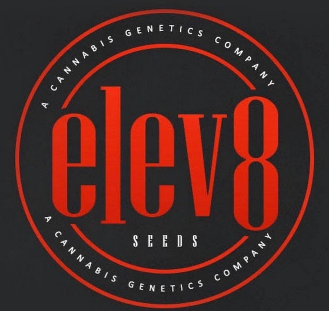 Elev8