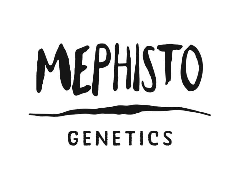 Mephisto Genetics