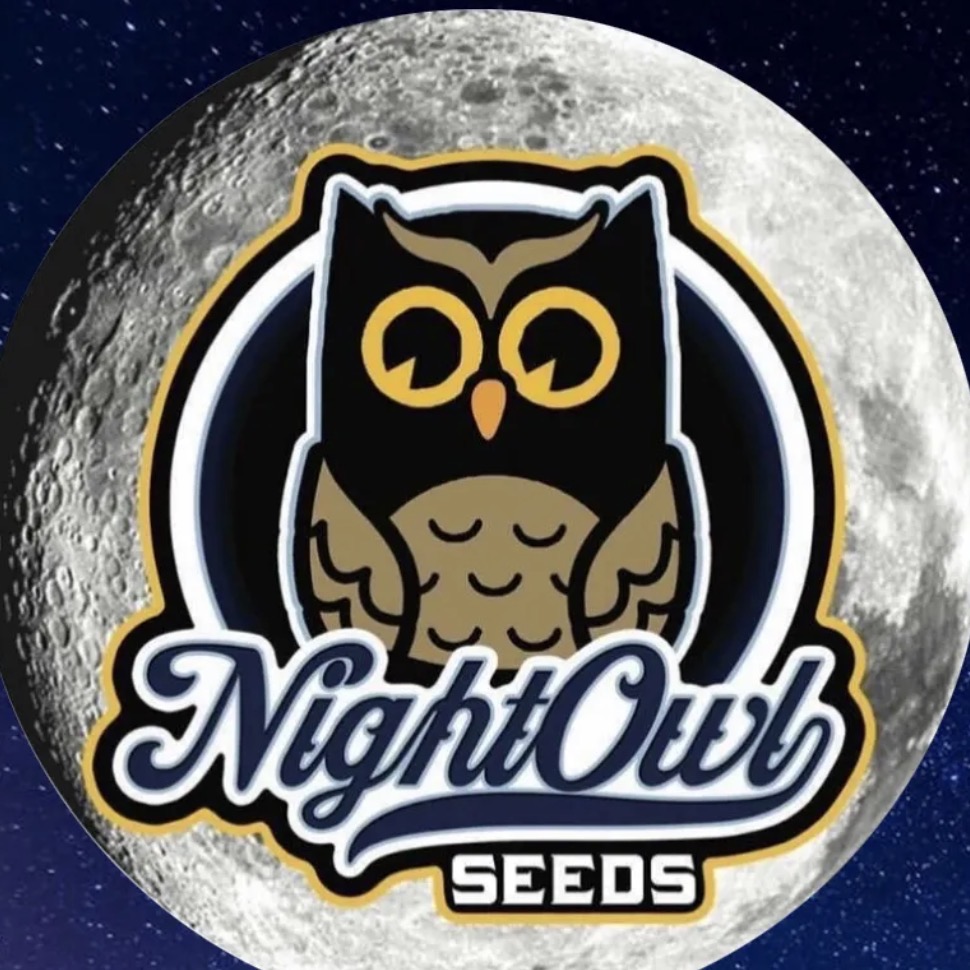 Night Owl Seeds