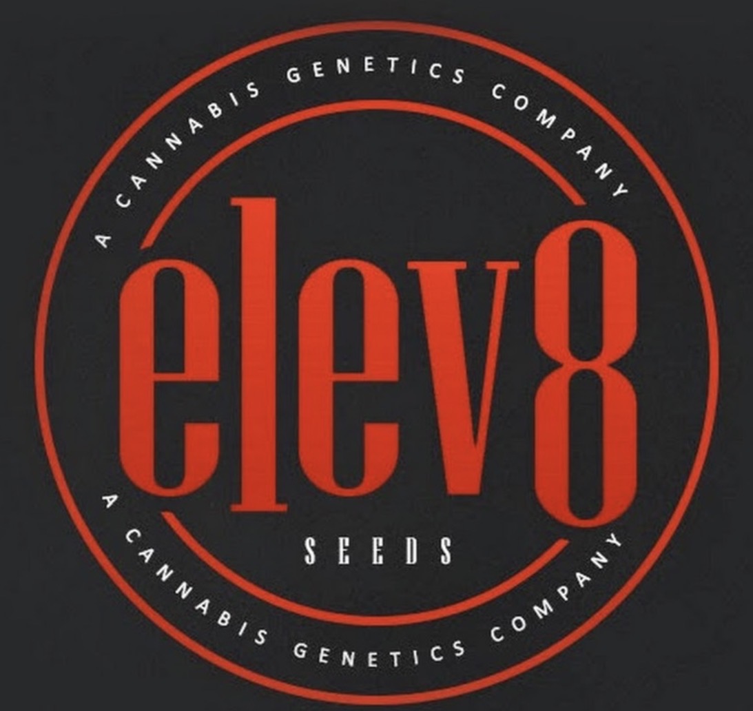 Elev8