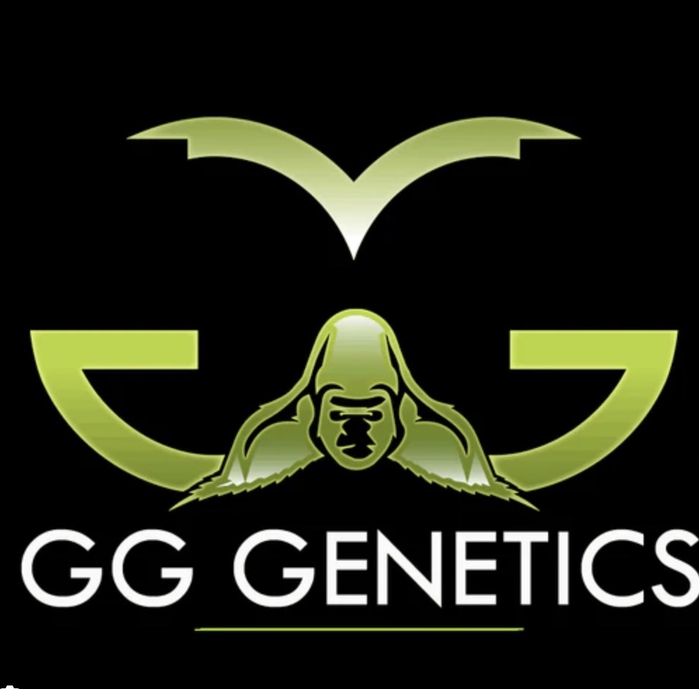 GG Genetics
